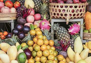 A Taste of the Tropics- Exotic Fruit Tours in Southeast Asia