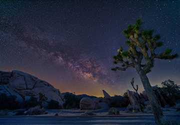 Who Knew Winter in the Desert Could Be So Enchanting