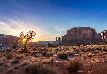 Who Knew Winter in the Desert Could Be So Enchanting